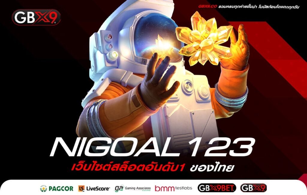 NIGOAL123-min